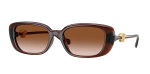 VERSACE 4504D-533213