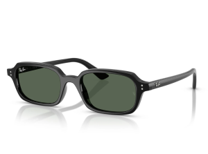 RAY-BAN 4455-667771-52